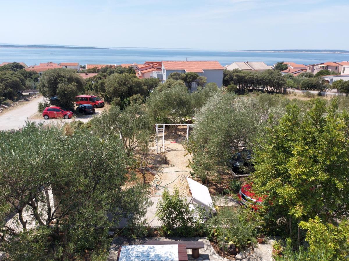 Apartment Gligora Mandre Dış mekan fotoğraf