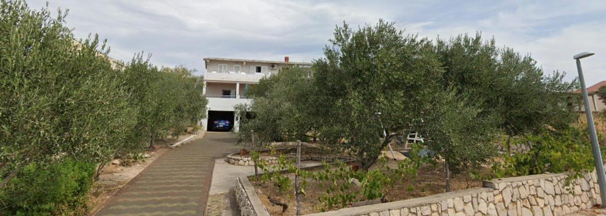 Apartment Gligora Mandre Dış mekan fotoğraf